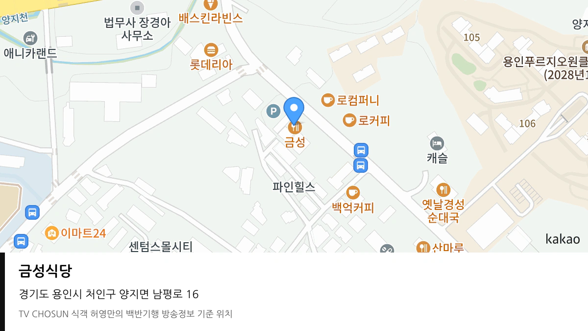 금성식당 위치 지도