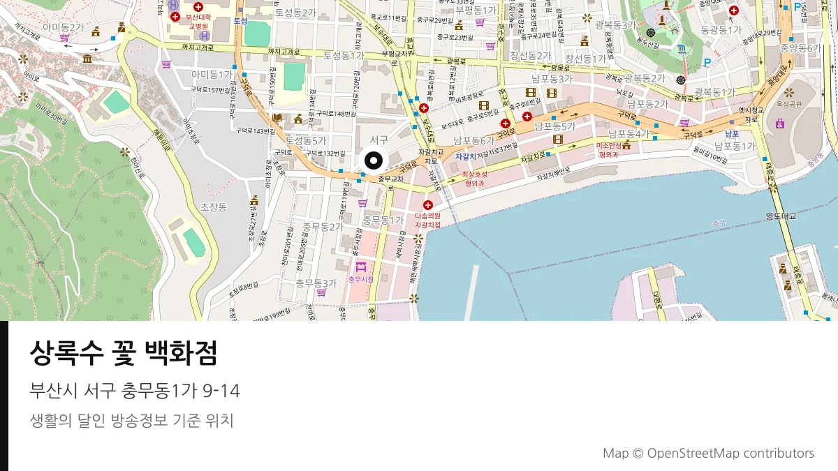 상록수 꽃 백화점 부산시 서구 방송 장소 위치