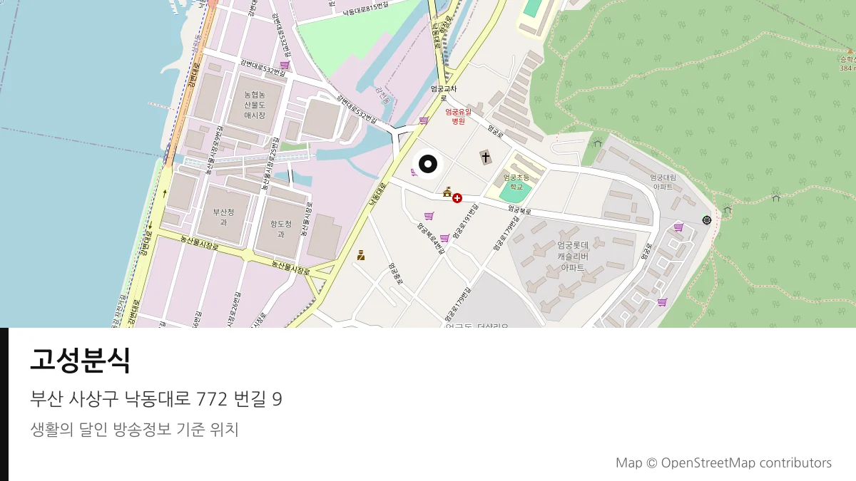 고성분식 부산 사상구 방송 장소 위치