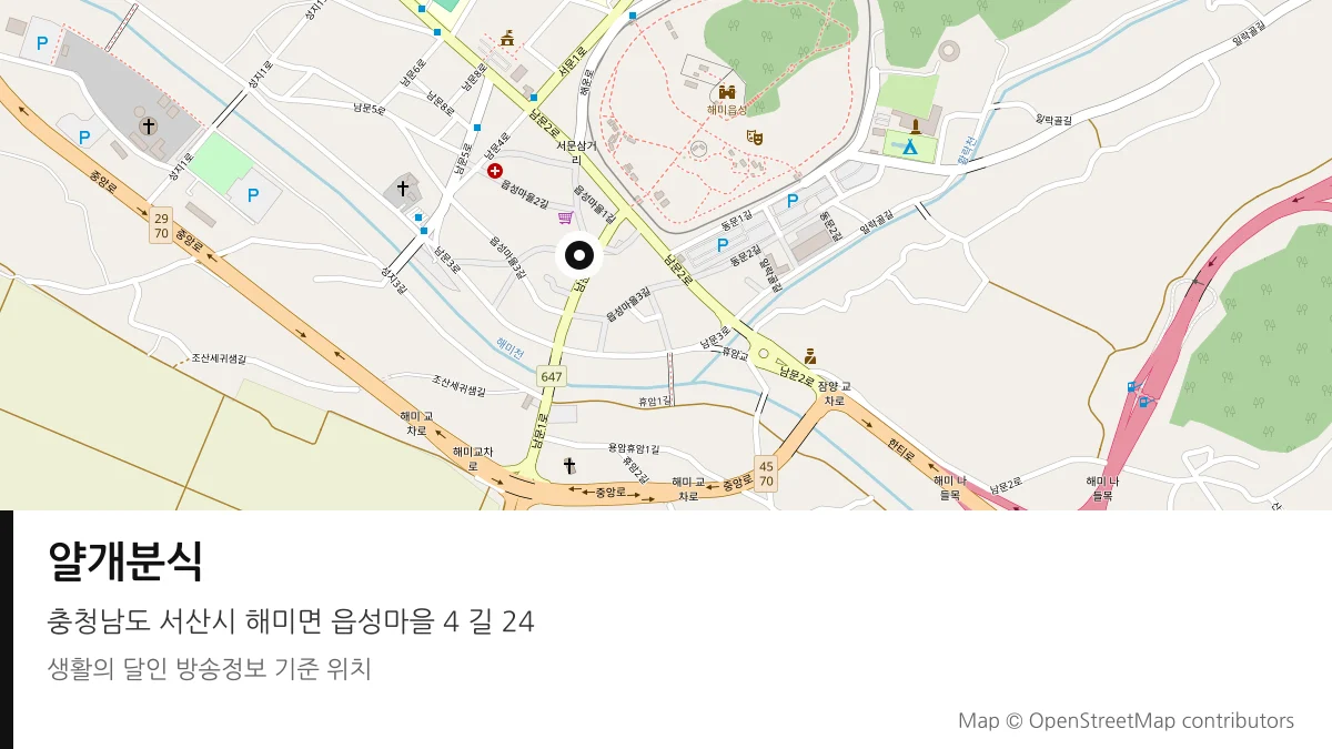 얄개분식 충남 서산시 방송 장소 위치
